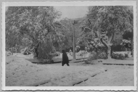 Há exatos 60 anos, neve caiu por 20 horas seguidas no RS