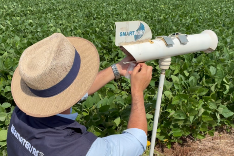 Monitora Ferrugem RS fortalece prevenção e auxilia produtores de soja no Estado