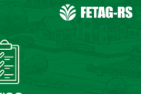 Comitiva da FETAG-RS intensifica articulações em Brasília por avanços no campo